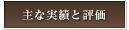 主な実績と評価