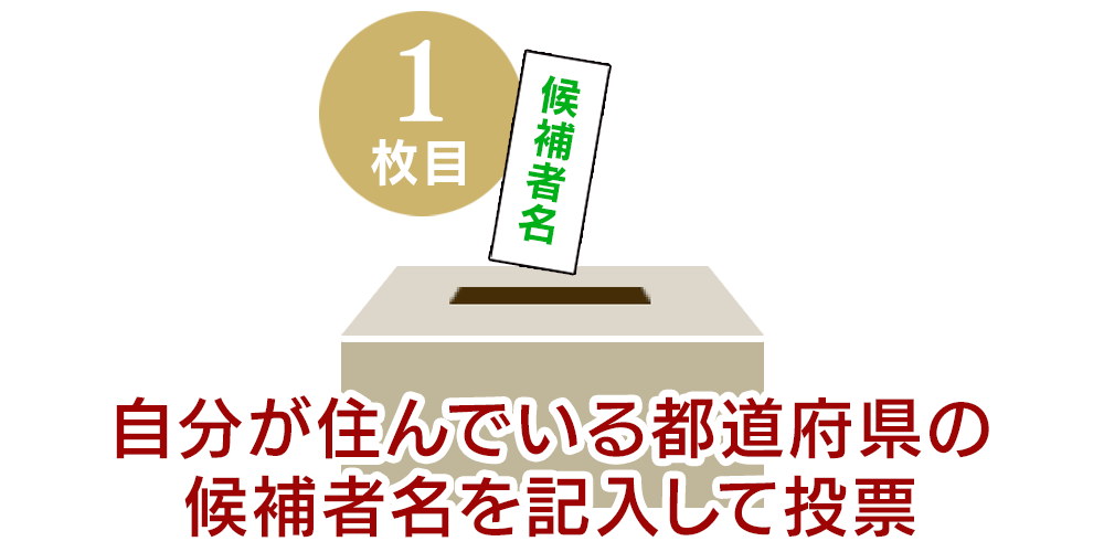 選挙区選挙